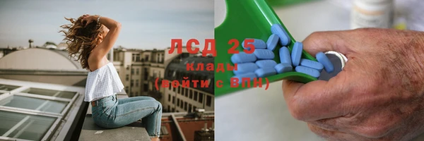 мдпв Богданович