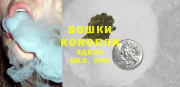 соль ск Богородицк