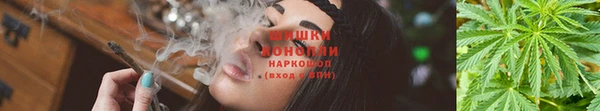 соль ск Богородицк