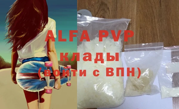 ГАЛЛЮЦИНОГЕННЫЕ ГРИБЫ Белокуриха